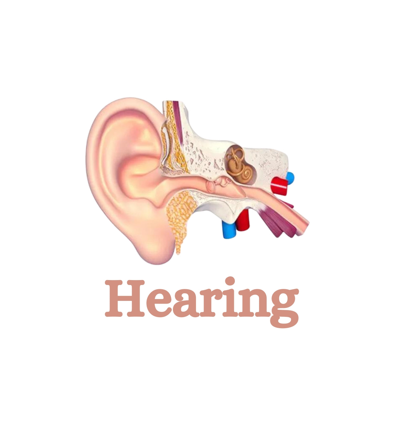 Hearing